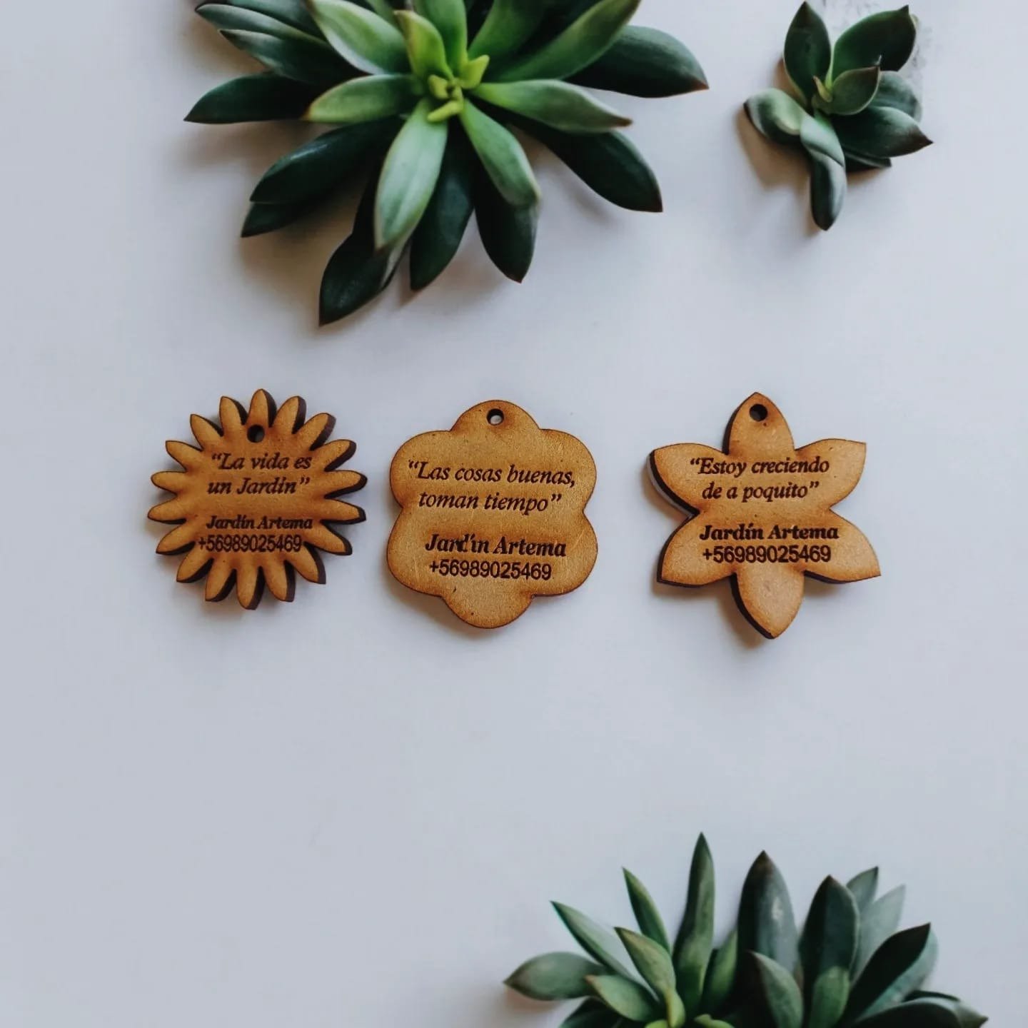 Etiquetas de madera personalizadas — 50 unidades
