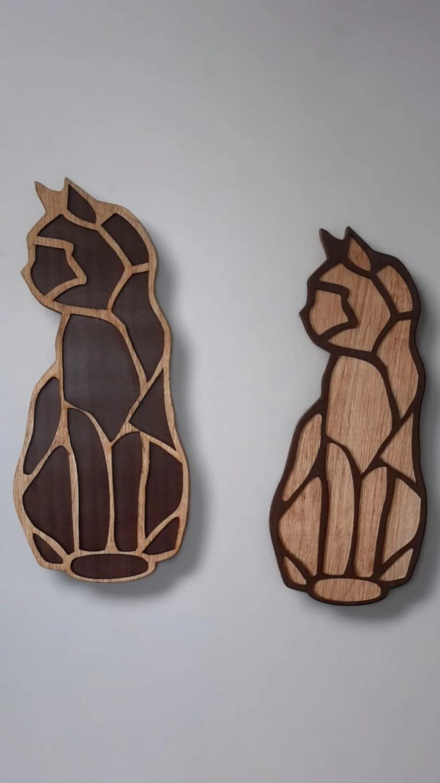 Gatos geométricos decorativos